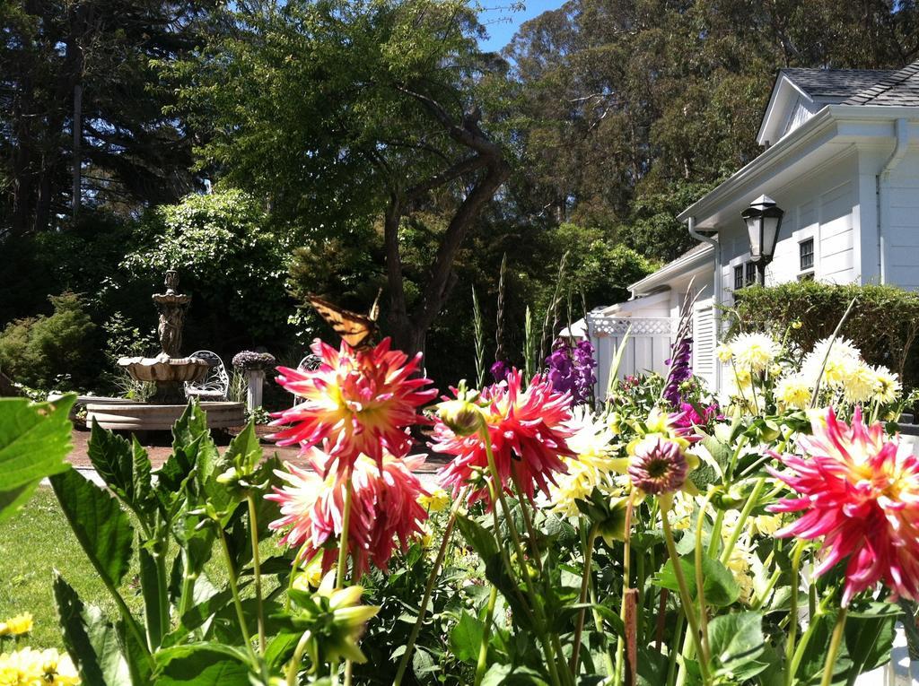 Monarch Cove Inn Capitola Εξωτερικό φωτογραφία
